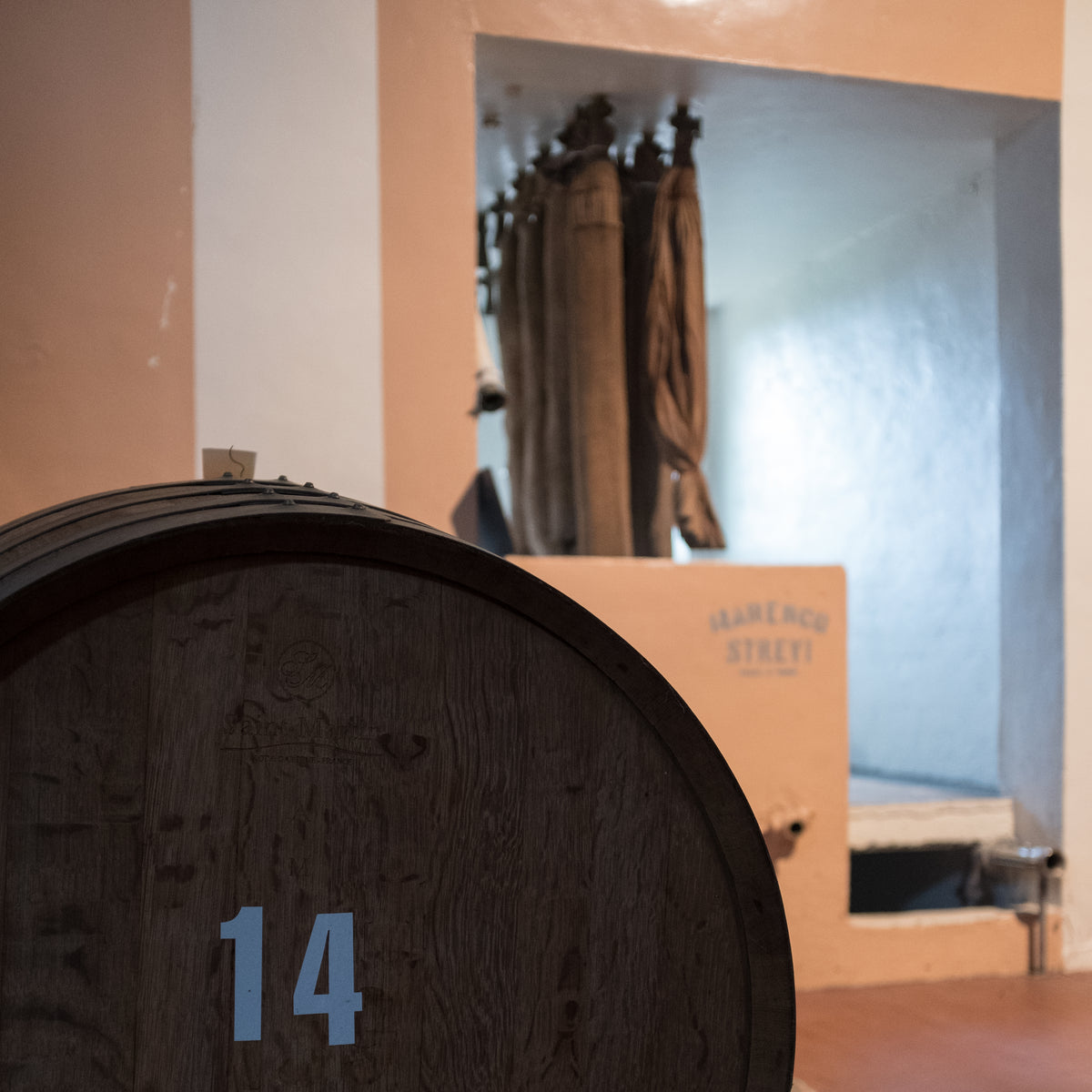 Benvenuti in Cantina Oro