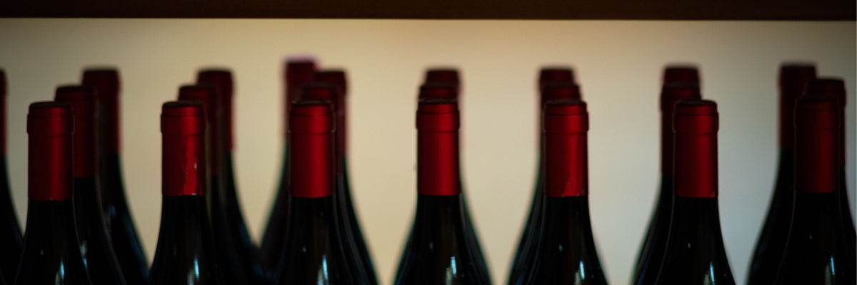 Tutti i Vini