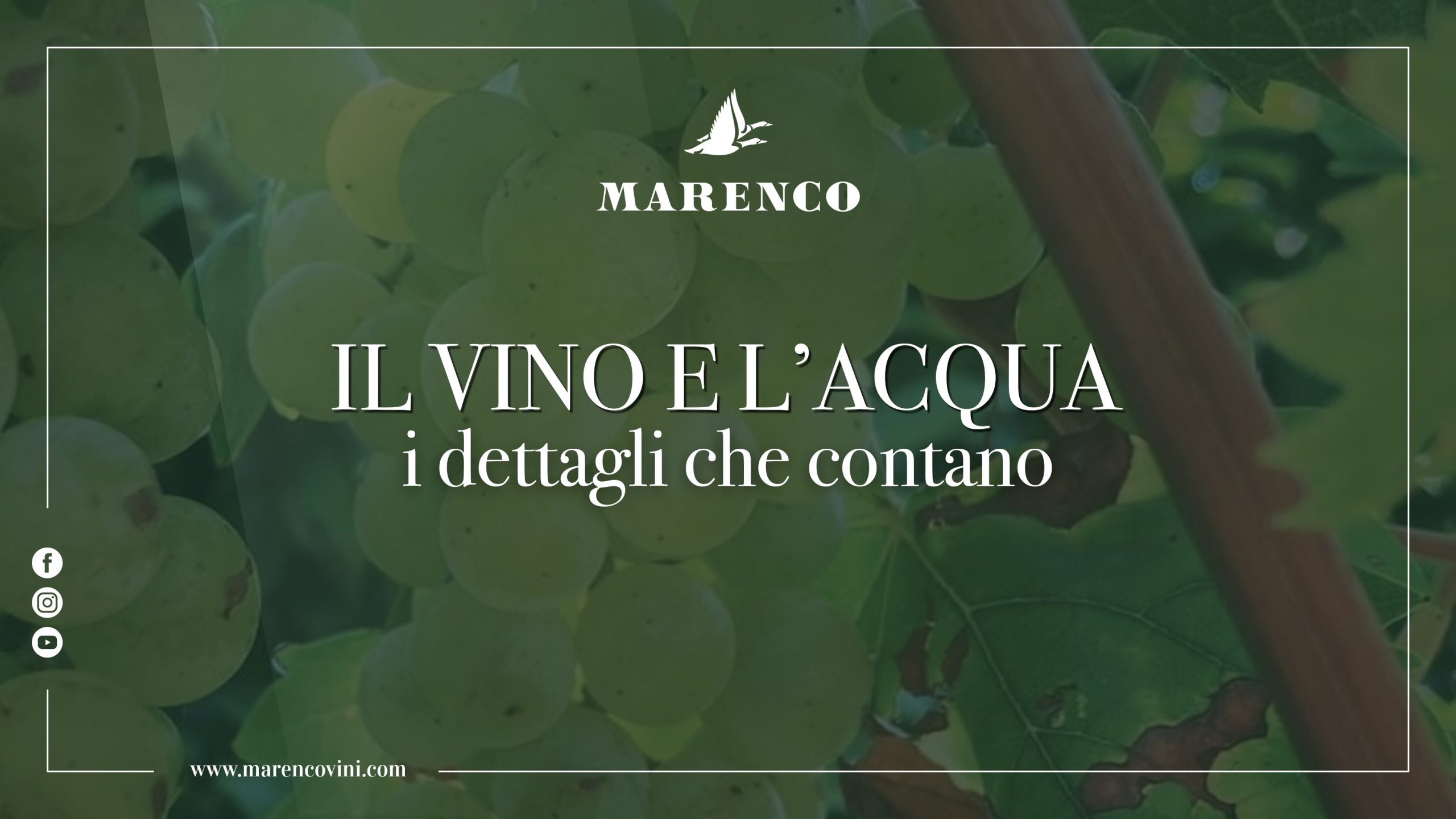 Il vino e l'acqua - Marenco Vini